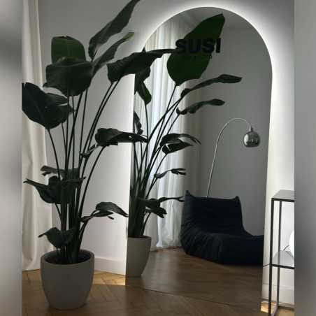 Half-ovale badkamerspiegel met verlichting - FRANK LED